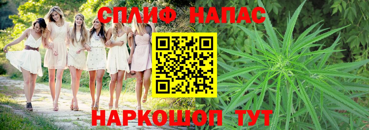 Канабис планчик  Конопля Amnesia  Бошки Шишки тримм  Тейково  Вход с VPN 